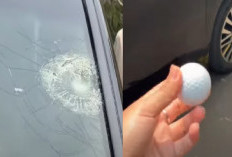 Viral! Kaca Toyota Alphard Pecah Diduga Kena Bola Golf di Sentul, Ditawari Ganti Rugi Rp300 Ribu