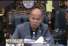 RUU Satu Data Indonesia Mulai Dibahas, Baleg Bongkar 6 Masalah Data Pemerintah
