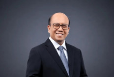 PLN Transisi