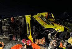 Polisi Ungkap Identitas 16 Korban Tewas Kecelakaan Bus Pariwisata di Tol Krapyak Semarang, Ada Warga Tangsel