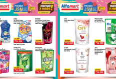 Katalog Promo JSM Alfamart Hari Ini 12 Oktober 2024, Sabun Cuci Piring Cuma Rp6 Ribuan!