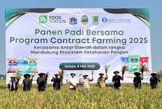Penuhi Kebutuhan Beras, Jakarta Teken Kerjasama Pertanian dengan Karawang 