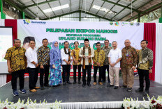 Manggis Subang Tembus China, LPDB Koperasi Siap Perkuat Pembiayaan Hingga Rp20 Miliar