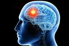 3 Contoh Soal Tes IQ untuk Asah Otak, Coba Buktikan Seberapa Cerdas Kamu