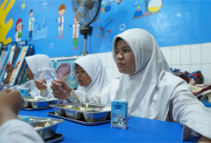 Susu UHT Langka di Diborong SPPG, BGN Minta Masyarakat Beralih Sumber Protein Lain