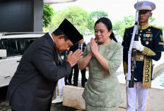Curhat Saat Dikritik PDI-P, Prabowo: Saya Kadang Pilu, Tapi Itu Baik untuk Demokrasi