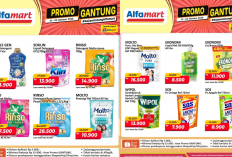 Promo JSM Alfamart Terbaru Hari Ini 4 Oktober 2026, Diskon Molto Pewangi Cuma Rp10 Ribuan