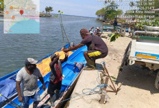 Menhut Gandeng Masyarakat Dorong Rehabilitasi Ekosistem Mangrove