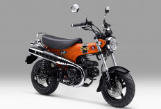 Honda ST125 Dax Hadir dengan Warna Baru, Karakter Ikonik Makin Kuat