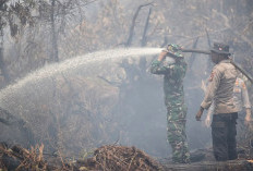 Kabut Asap Mengerikan, Siswa di Pekanbaru Diliburkan dan Belajar di Rumah