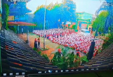 Kata Waka BGN Soal Mobil SPPG Ngegas Tabrak Siswa SD di Cilincing: Tak Ada Korban Jiwa