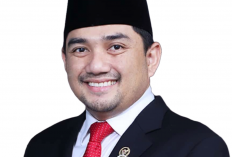 Profil dan Riwayat Pendidikan Rifqinizamy Karsayuda Anggota DPR Kritik ASN Cuma Absen dan Ngopi