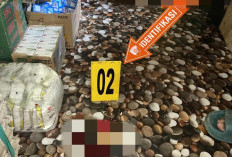 Warga Tewas Ditembak di Intan Jaya, Pelaku Diduga KKB Pimpinan Apen Kobogau