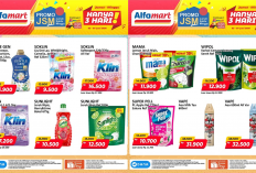 Promo JSM Alfamart Hari Ini 7 Juni 2026, Sabun Sunlight Botol Diskon Cuma Rp10 Ribuan!