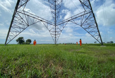 Electrifying Agriculture PLN Bantu Jaga Produktivitas Petani di Musim Kemarau
