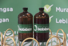 Hyundai Tertarik dengan Inovasi Bobibos, Riset Lokal untuk Energi Ramah Lingkungan