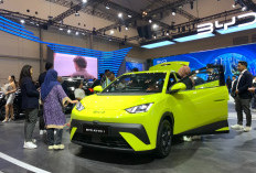 Penjualan BYD Januari-Juni Tembus 14.000, Makin Percaya Diri dengan Kehadiran ATTO 1