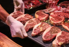 Daftar Barang Mewah yang Kena PPN 12 Persen per 1 Januari 2025, Ada RS VIP hingga Daging Wagyu