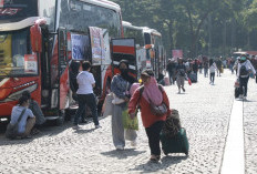 Dishub DKI Catat 2.216 Pemudik Telah Kembali ke Jakarta melalui 7 Terminal Utama