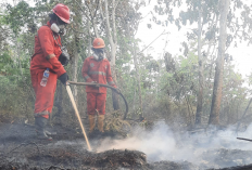 Pray For Kalimantan! Karhutla Meluas, Pemerintah Siapkan Operasi Modifikasi Cuaca