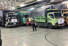 BNPB Catat 954 Ton Logistik Sudah Dikirim untuk Penuhi Kebutuhan Penyintas Gempa NTT