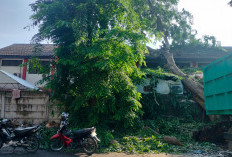 Bruk! Dikira Gempa, Pelajar SMPN 1 Kota Tangerang Berhamburan Keluar Kelas, Saat Dicek Ternyata...