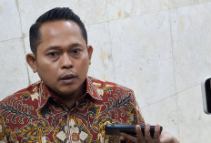 Anggota DPR RI Fraksi PDIP Siap Diperiksa Terkait Pernyataannya Soal Cawe-cawe Partai Cokelat di Pilkada