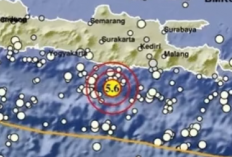 Pacitan Diguncang Gempa M5,6, Getaran Terasa hingga Surabaya