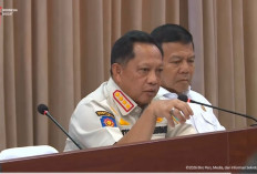 Mendagri Puji Langkah Riau dalam Mencegah Karhutla