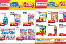 Promo JSM Alfamart Terbaru Hari Ini 10 Oktober 2026, Soklin Liquid hanya Rp10 Ribuan