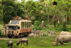 Taman Safari Indonesia Siap Dukung Transformasi Kebun Binatang Bandung sebagai Lembaga Konservasi Modern 