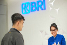 Skema Tabel Pinjaman KUR BRI 2025 Plafon Rp50 Juta Cicilan Ringan hingga 60 Bulan, Ajukan Modal UMKM Tanpa Jaminan!