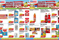 Promo JSM Alfamart Terbaru 20-23 Agustus 2026, Cokelat Silverqueen Cuma Rp13 Ribuan
