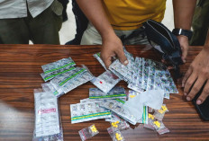 Saat Tramadol Merajalela: Bahaya Mengintai, Tapi Permintaan Menggila!