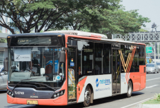 Catat Daftar Rute Bus Transjakarta Non BRT yang Terintegrasi dengan BRT 