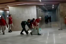 Kejagung Obok-obok Kantor Kemenhut, Pulang-pulang Bawa Berkas 1 Boks Kontainer: Lanjutkan Kasus Nikel?