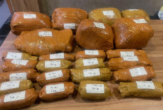 Polda Metro Jaya Gagalkan Peredaran 9,4 Kg Ganja, 3 Tersangka Ditangkap