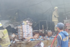 Kondisi Terkini Lokasi Kebakaran Pasar Induk Kramat Jati, BPBD DKI Ungkap Data Terbaru