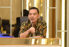 DPR Sebut Karhutla Jadi Bencana Internasional, Negara Pemilik Konsesi Harus Bertanggung Jawab