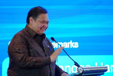 Aksesi OECD Jadi Langkah Strategis Indonesia Perkuat Daya Saing dan Ketahanan Ekonomi