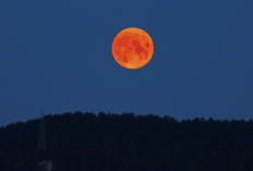 Bacaan Doa Gerhana Bulan Lengkap Tulisan Arab, Latin dan Artinya, Bukti Tanda Kebesaran Allah