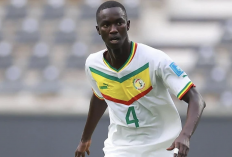 Chelsea Tebar Uang Rp1,2 Triliun, Lamine Camara Diproyeksikan Gantikan Enzo Fernández 