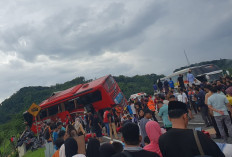 Kecelakaan Bus vs Truk di Tol Malang, 4 Orang Meninggal, Arus Lalin Dialihkan