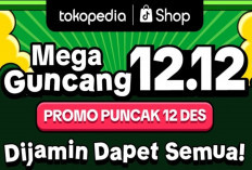 Kumpulan Promo 12.12 Paling Diburu: Ada Diskon Tokopedia, Shopee dan Zalora Hingga 80 Persen