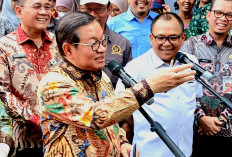 Pramono Pilih Sewa CCTV untuk Dipasang di RT/RW Ketimbang Beli Baru: Biaya Lebih Murah