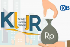 Rincian Tabel KUR BRI 2025 Pinjaman Rp100-Rp500 Juta Lengkap Syarat dan Cara Pengajuan, Tanpa Jaminan Tertentu!