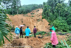 Satgas PKH Telusuri Kerusakan Hutan yang Diduga Jadi Biang Kerok Banjir dan Tanah Longsor di Sumatera
