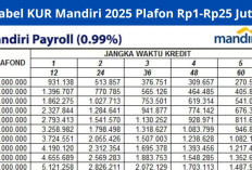 Tabel Angsuran KUR Mandiri 2025 Cicilan Terendah Rp1-Rp50 Juta, Cek Syarat dan Cara Pgajuannya