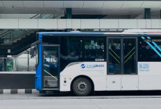 Tegas! Pramono Bakal Sulap Halte Transjakarta Ramah Disabilitas