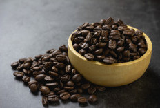 Mirip dengan Kafein di Kopi, Ini Kata Penelitian tentang Nikotin